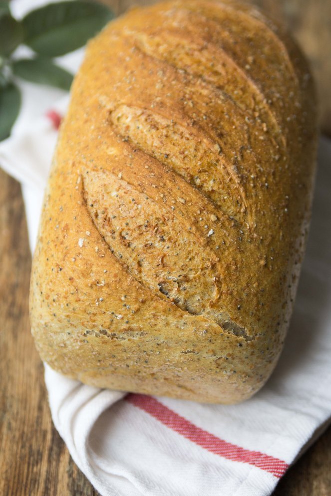 szybki i łatwy chleb drożdżowy z makiem